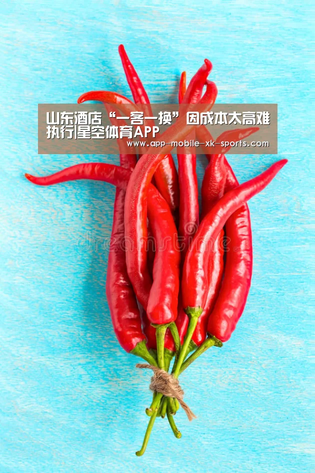 星空体育APP