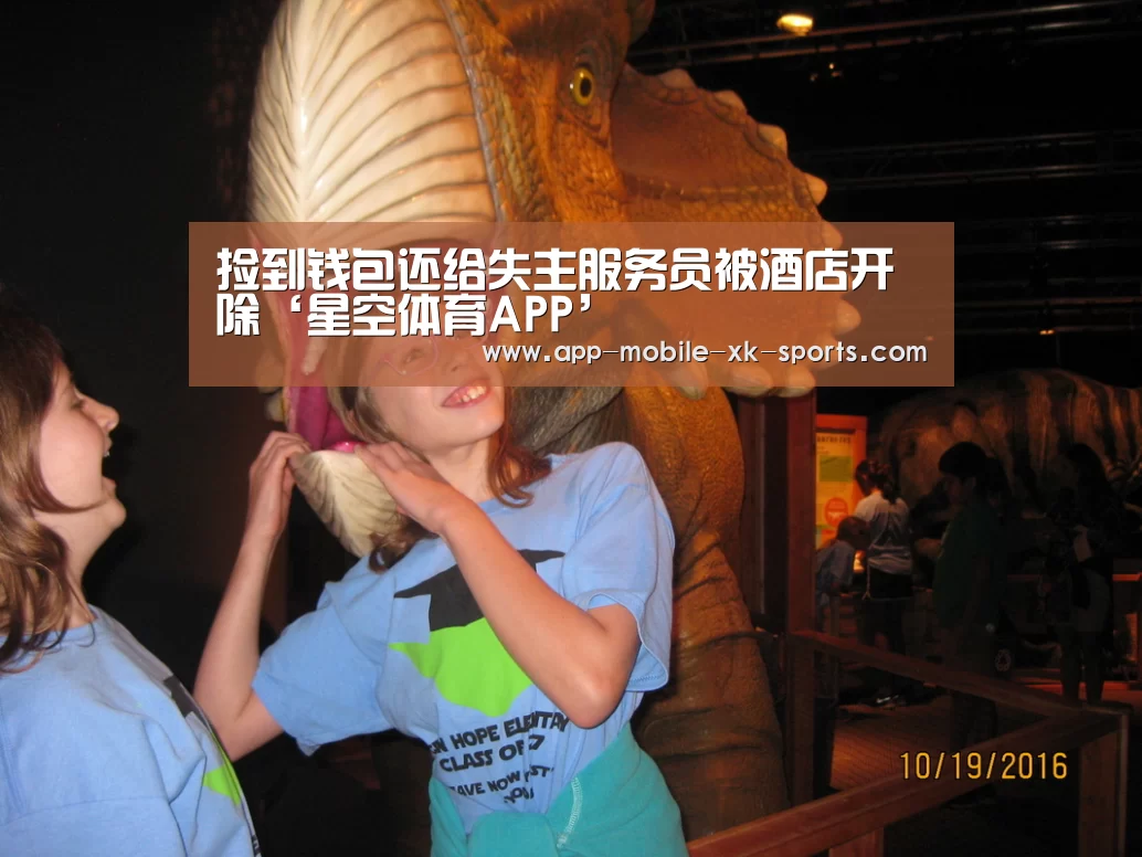 星空官网